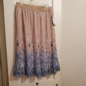 Multi Colored Cream and Blue Skirt
